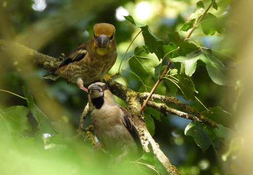 FOTO DES MONATS SEPTEMBER 2025
