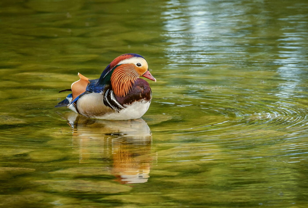 Auswahl zum Foto des Monats November