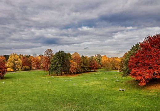 Auswahl zum Foto des Monats November