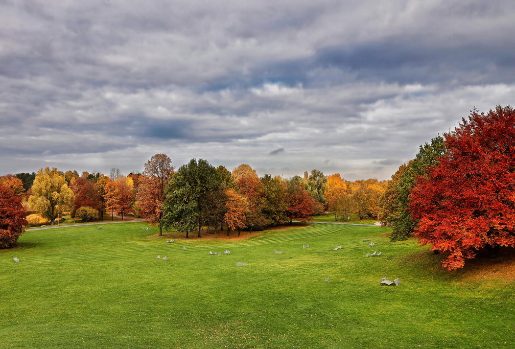 Auswahl zum Foto des Monats November