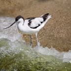 FOTO DES MONATS NOVEMBER 2025