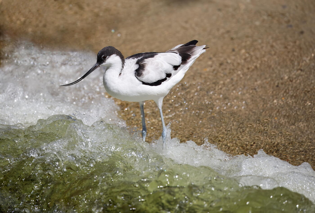 FOTO DES MONATS NOVEMBER 2025