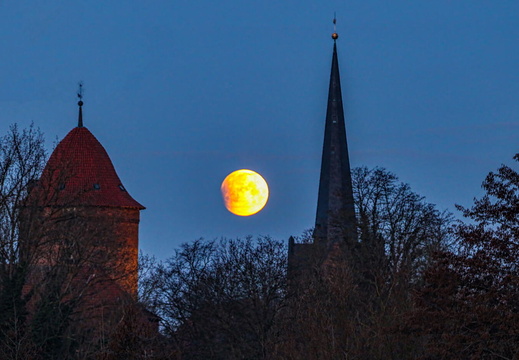Auswahl Foto des Monats Dezember