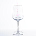 Auswahl Foto des Monats 01.2026