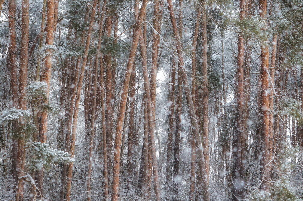 Winterimpressionen 2