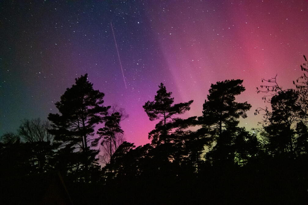 Polarlicht Januar 2026