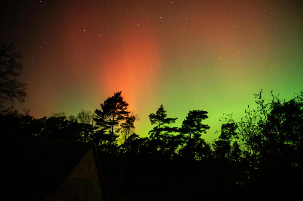 Polarlicht Januar 2026