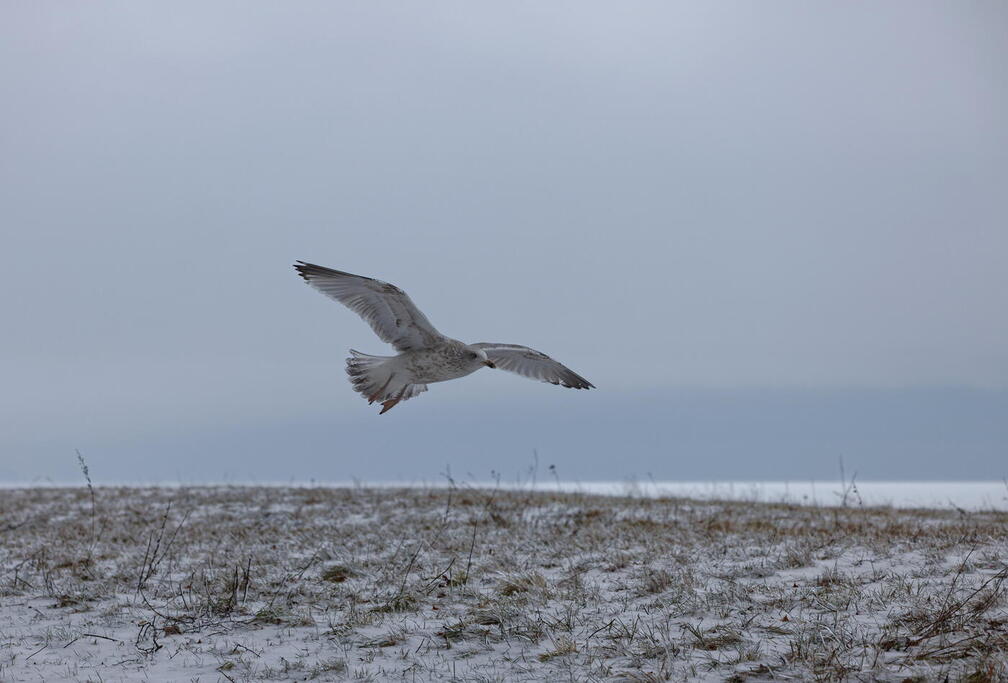 Winter an der Ostsee