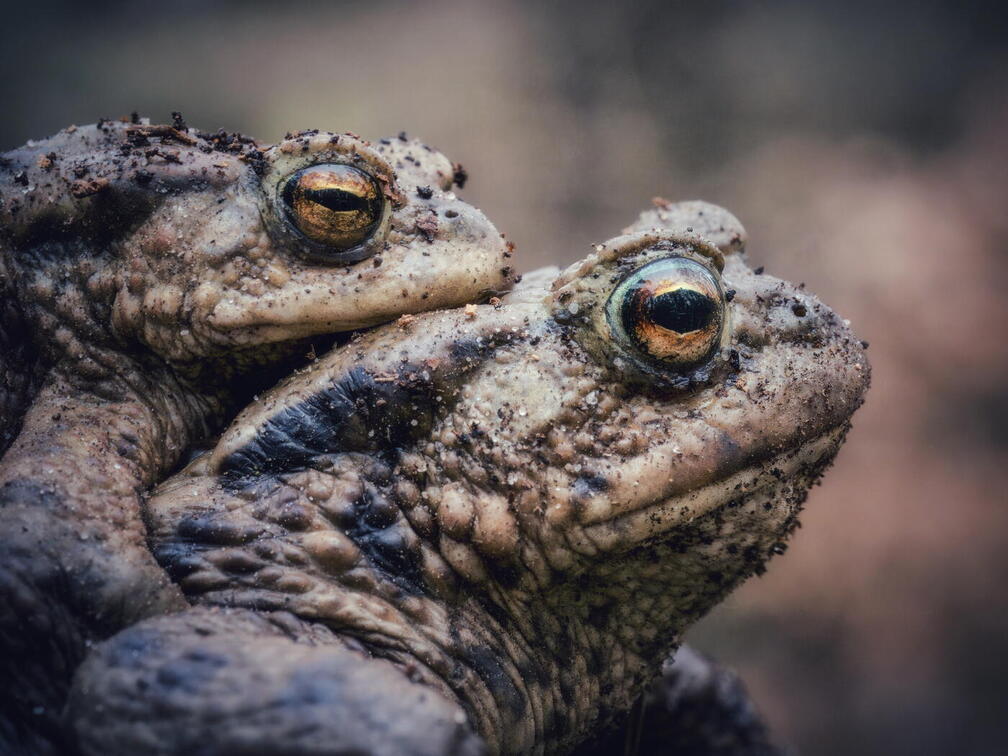 FOTO DES MONATS MÄRZ 2026