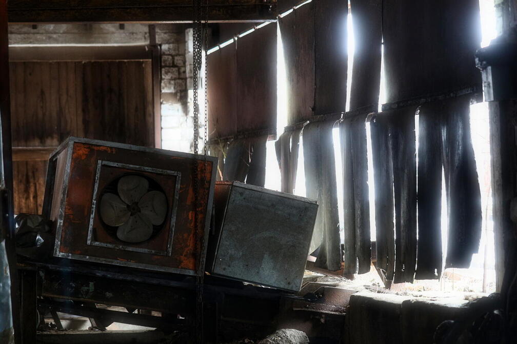 Auswahl Foto des Monats 4/26