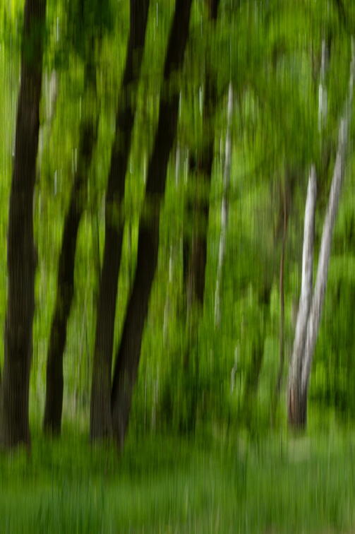 ICM Y5210030 Kopie