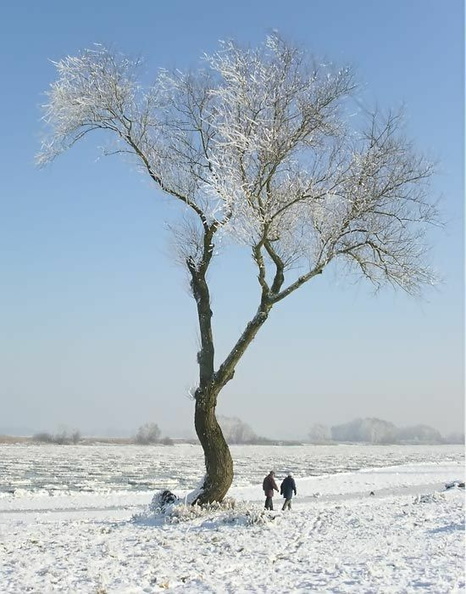 Foto des Monats  Dezember 2007 12 bjoe