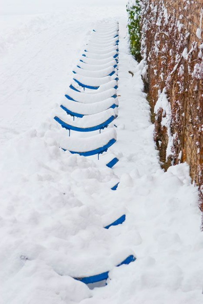 bild des monats 2010 02 bhas