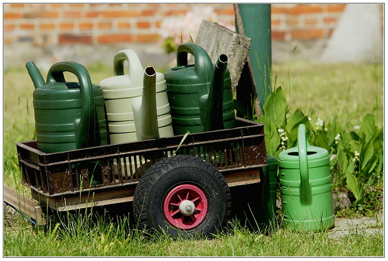 bild des monats 2010 07 gwun