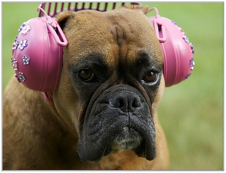 bild des monats 2015 03 gschw