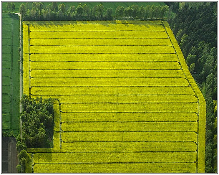 bild des monats 2015 06 hmoe