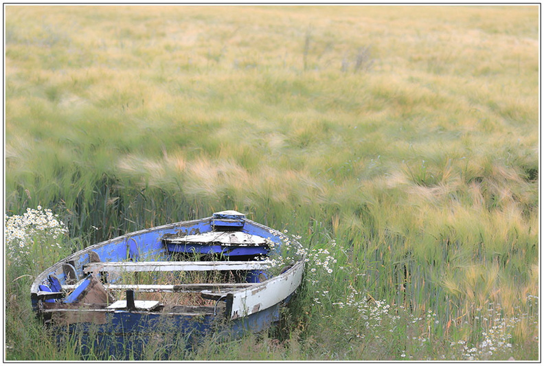 bild des monats 2015 07 kmay