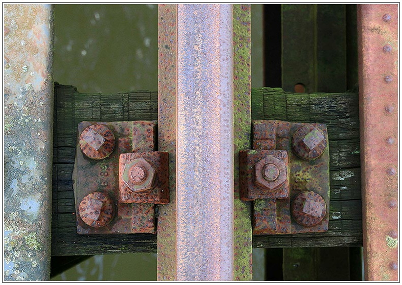 bild des monats 2015 08 uroh