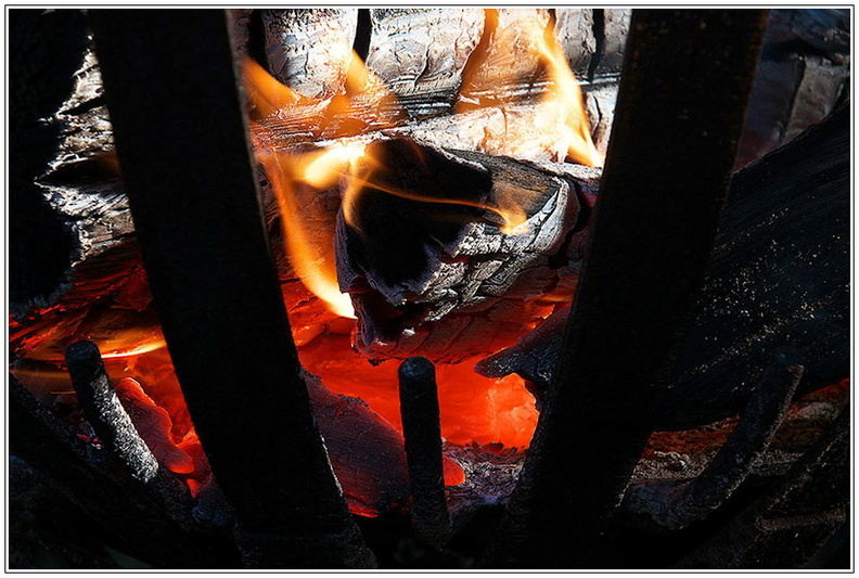 bild des monats 2015 10 gwund