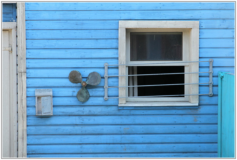 bild des monats 2015 11 afri