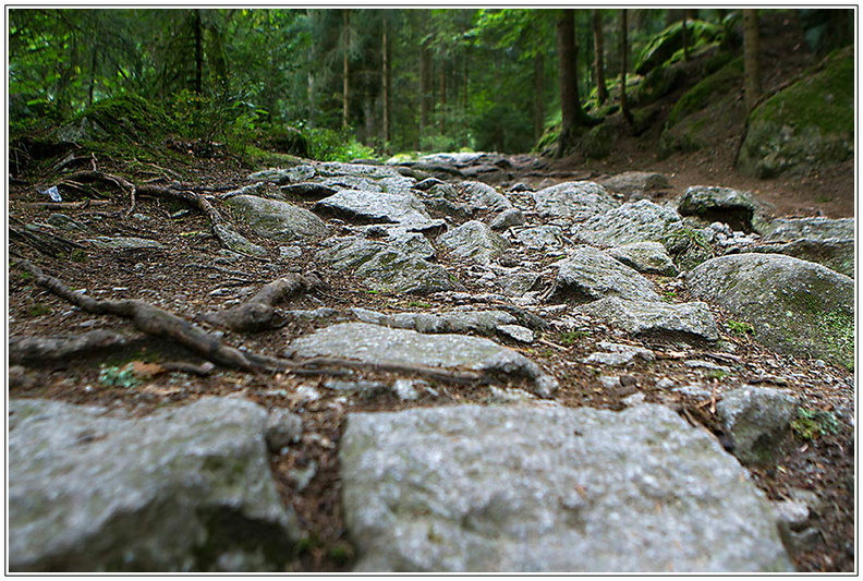 bild des monats 2015 12 bhas