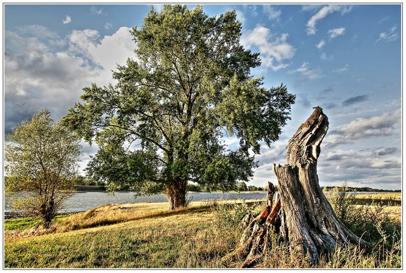 bild des monats 2018 10 kmay