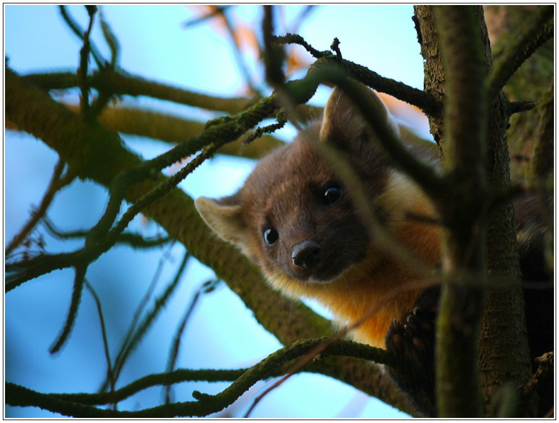 bild des monats 2018 11 rhen