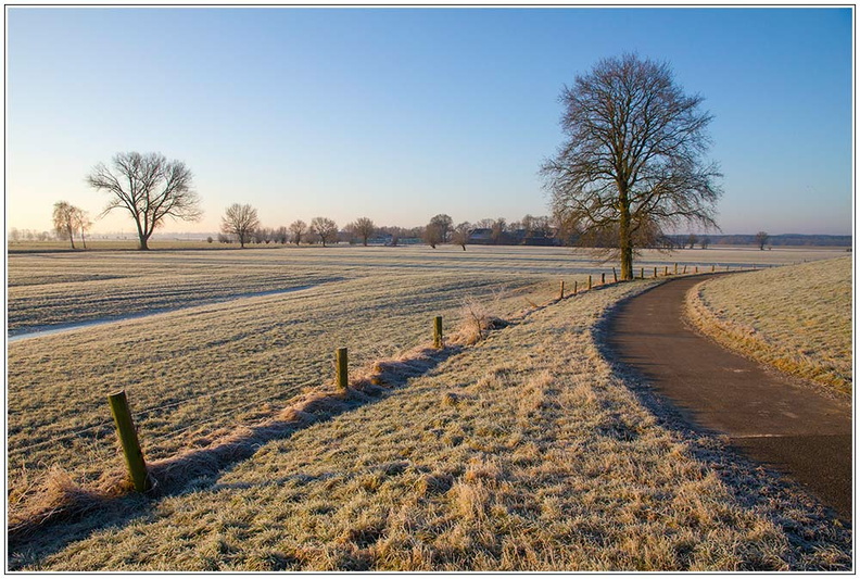 bild des monats 2018 12 afri