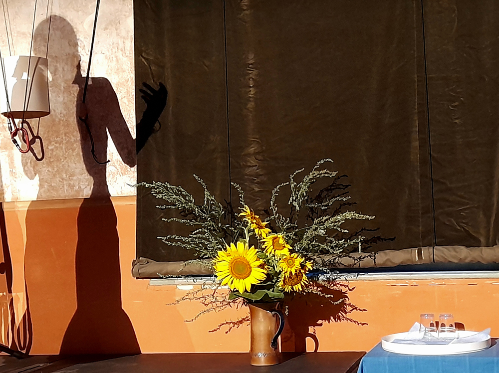 Auswahl zum Foto des Monats November