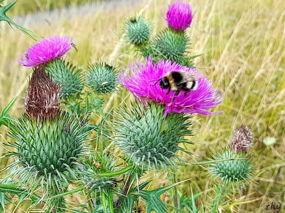 FOTO DES MONATS MAI 2025